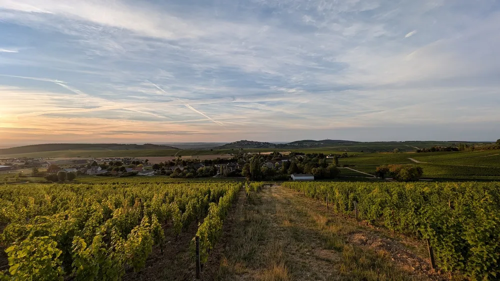 Verdigny bei Sancerre: Weinreise zwischen Sauvignon Blanc und Pouilly-Fumé