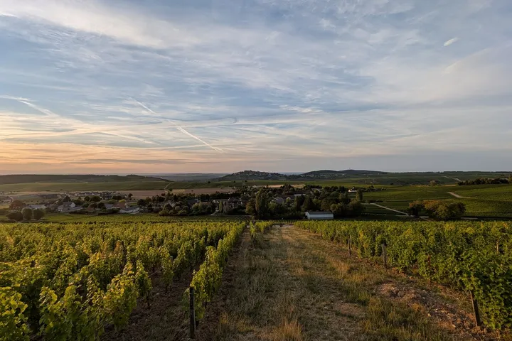 Verdigny bei Sancerre: Weinreise zwischen Sauvignon Blanc und Pouilly-Fumé