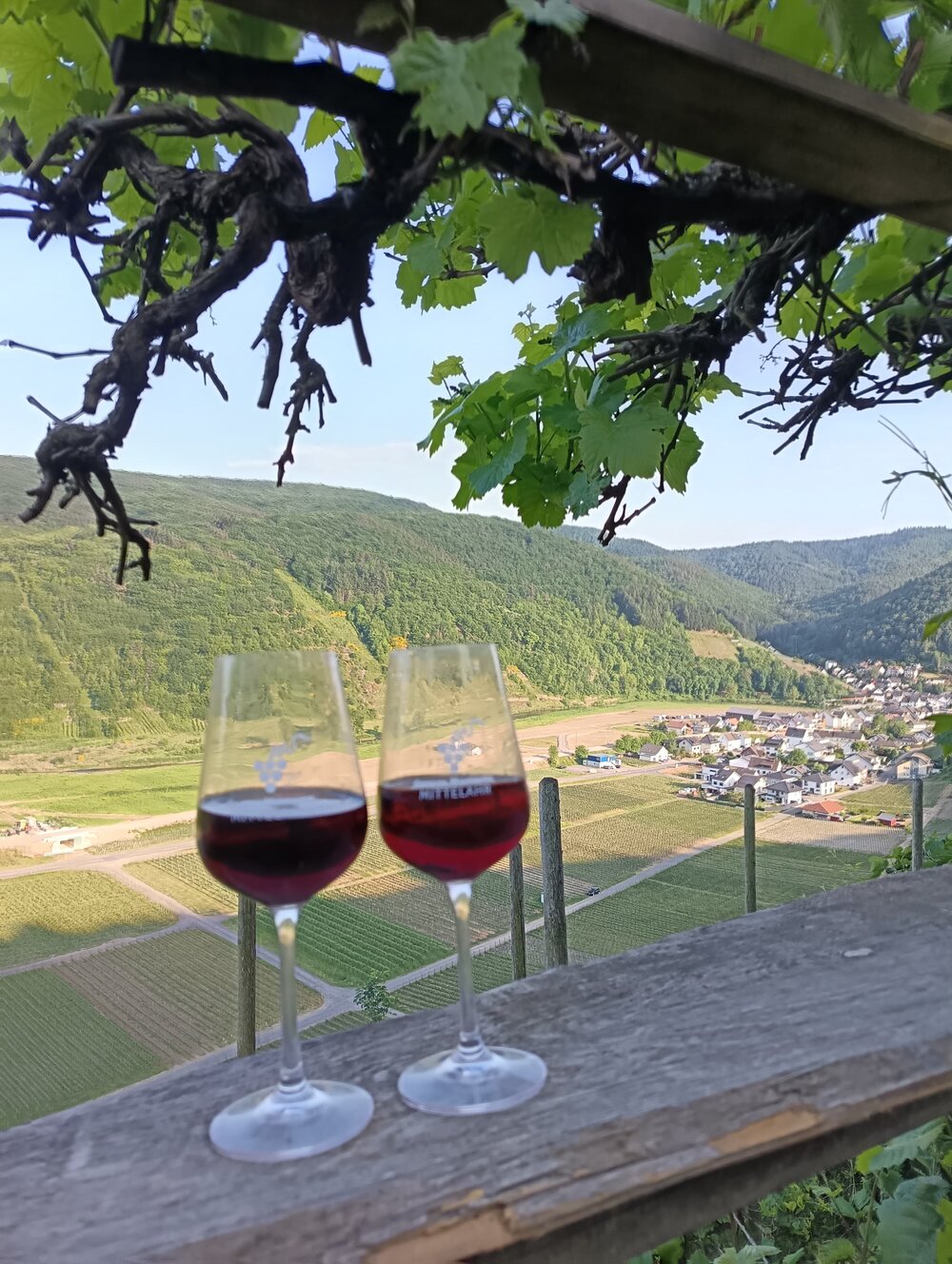 Zwei Gläser Rotwein auf einem Holzgeländer unter einem Rebstock, dahinter das Ahrtal