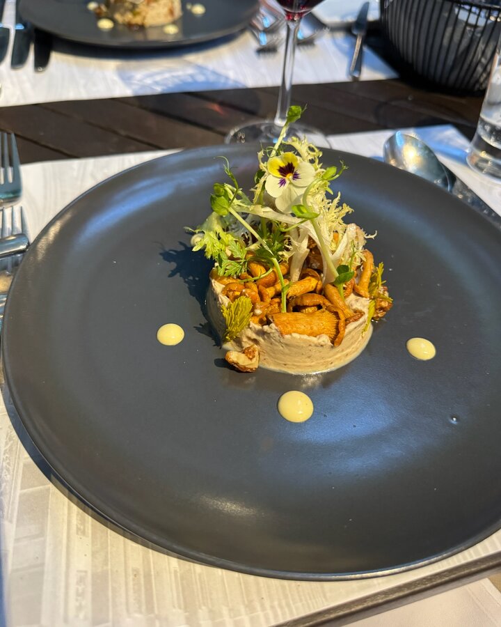 Pfifferlinge süß-sauer mit Frisée, Essblüte und Walnusskrokant auf schwarzem Teller