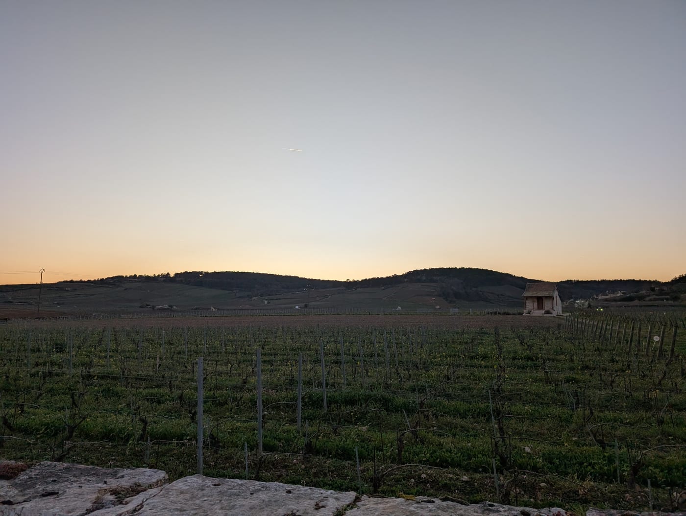 Abendlicht über Weinbergen in der Côte de Beaune bei Meursault