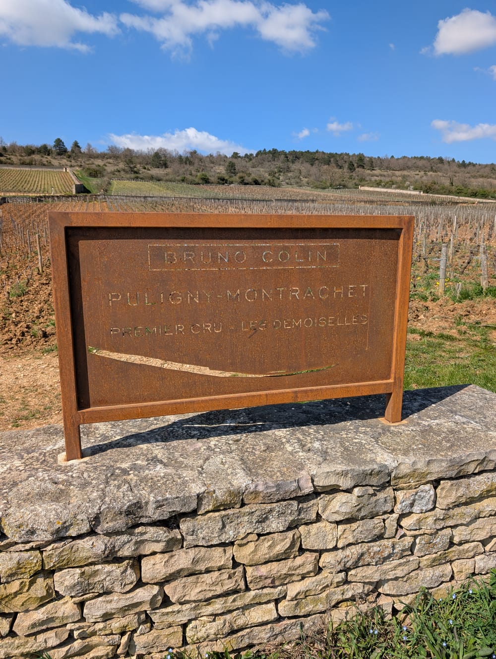 Schild Puligny-Montrachet Premier Cru Les Demoiselles vor Weinbergen