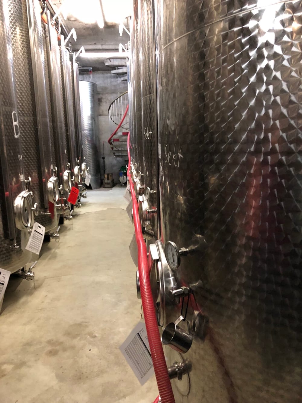 Edelstahltanks mit Kreideaufschrift Sekt im Keller des Weinguts Trenz