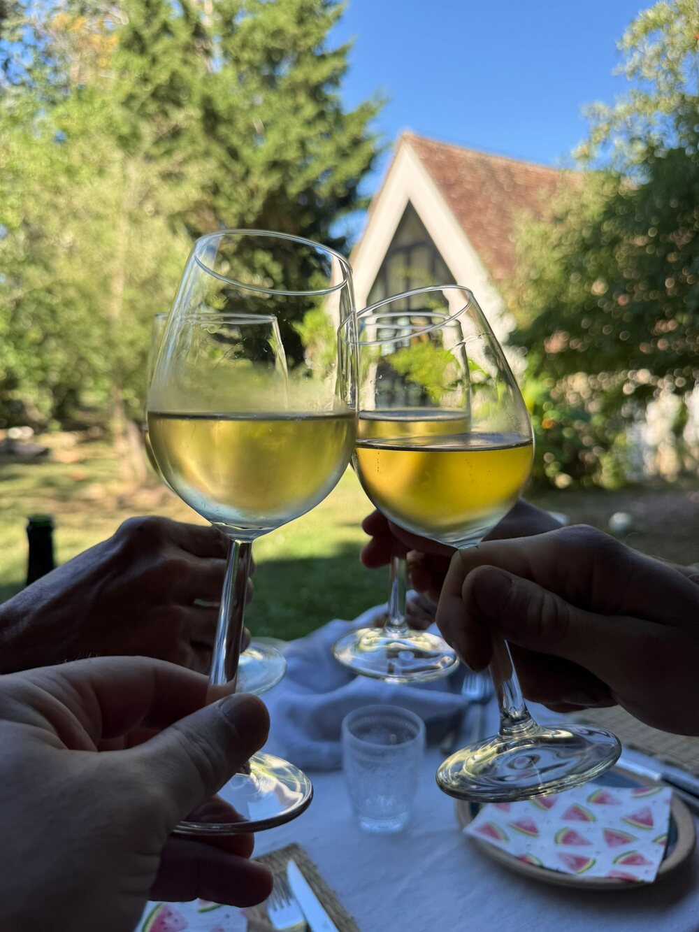 Zwei Gläser Sancerre Blanc im Garten eines Hauses in Verdigny