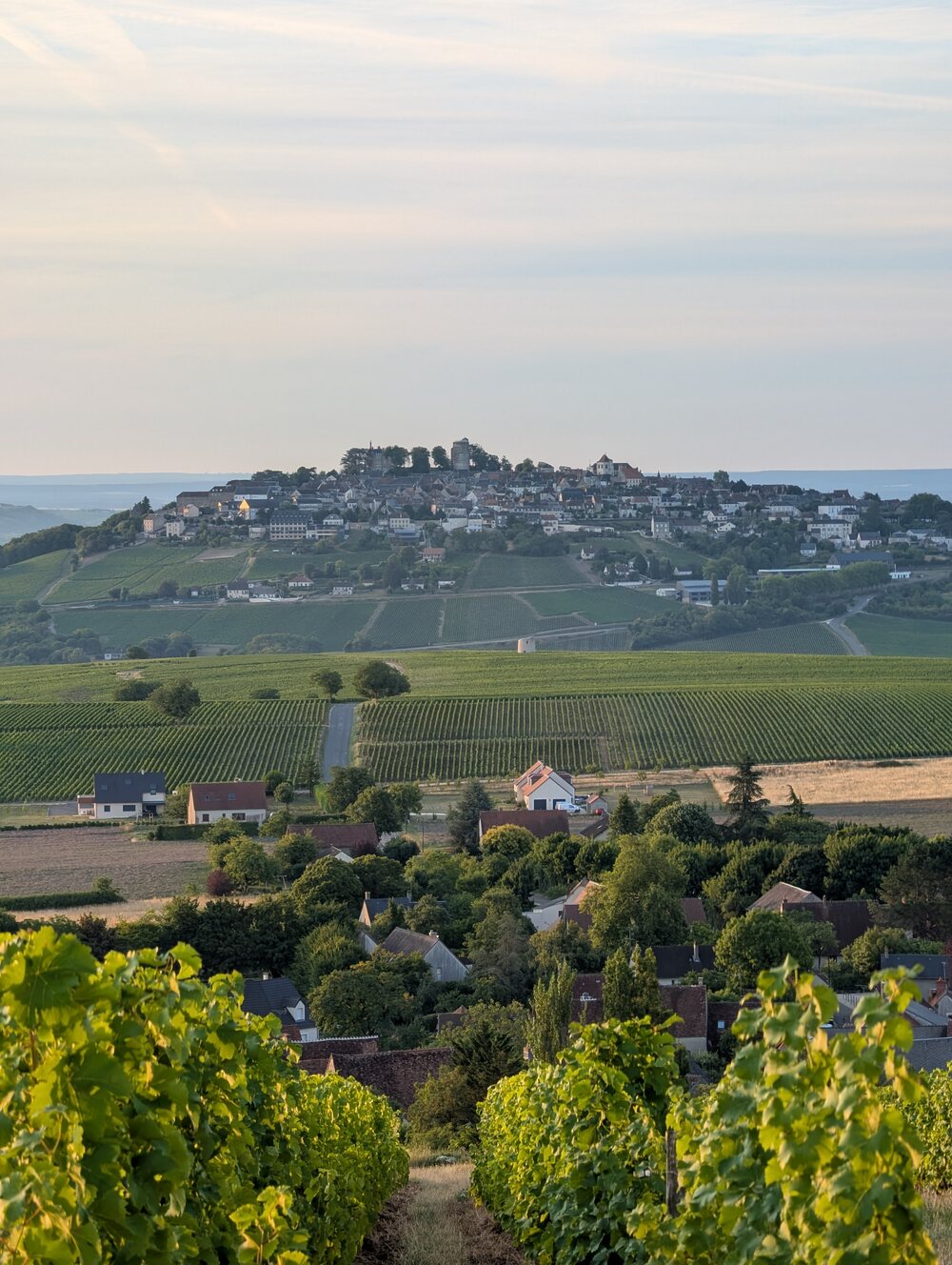 Blick von Verdigny durch Weinberge auf den Hügelort Sancerre